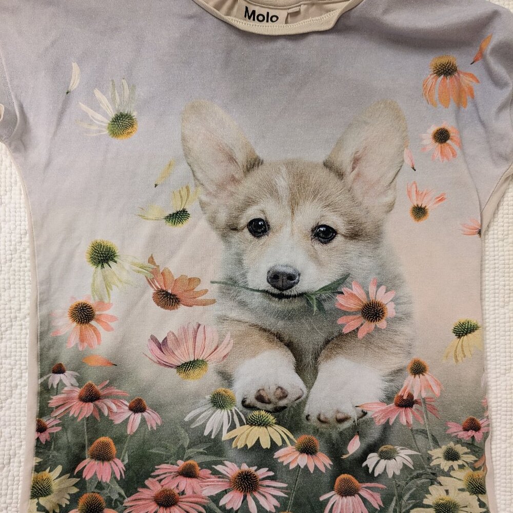 Molo Corgi Tee